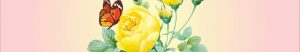 รีวิวดอกกุหลาบสีเหลือง – ละครเพลงคันทรี่ที่น่ารักและยืนยันชีวิต